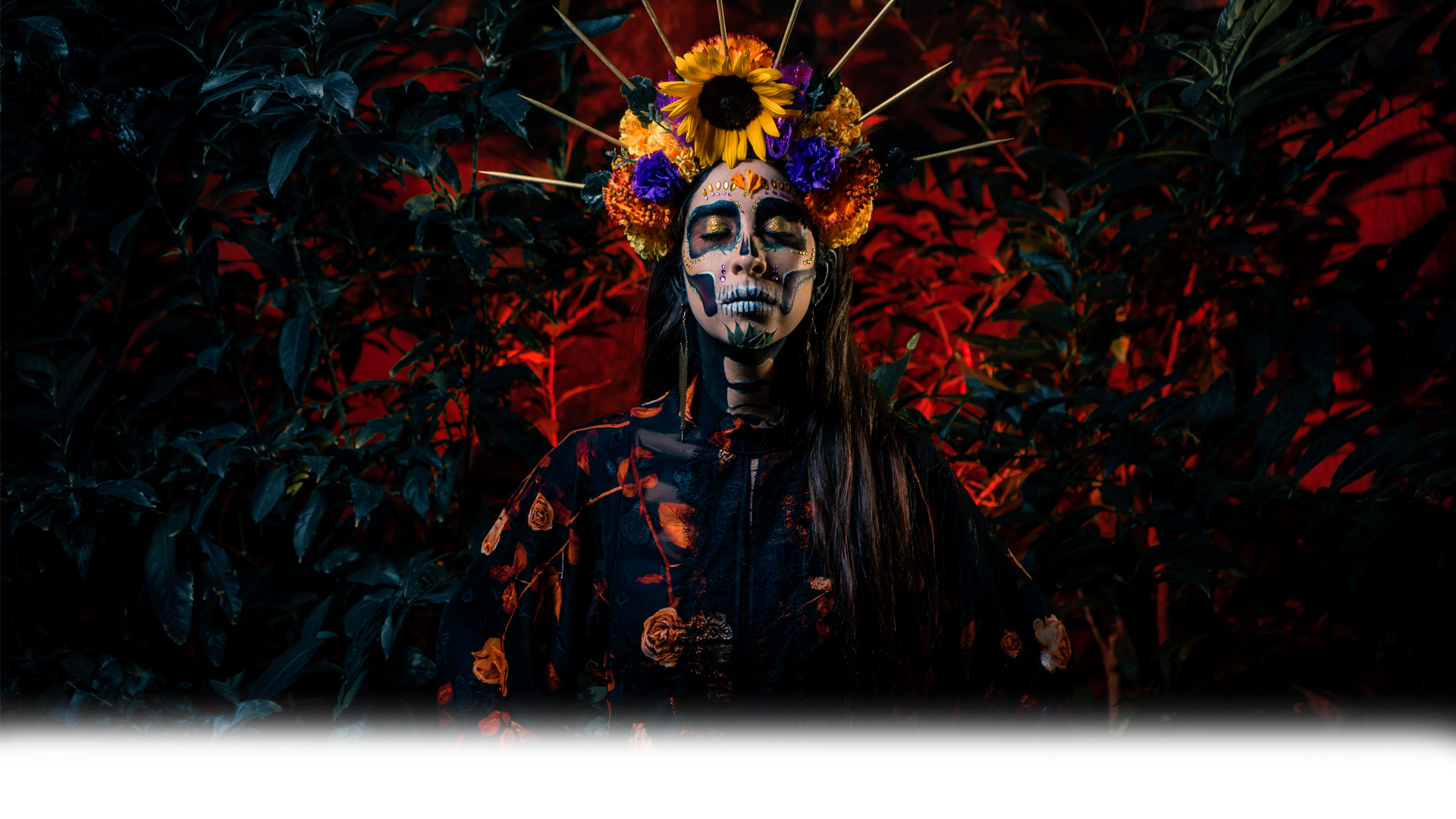 Maestrias-aceemicos
